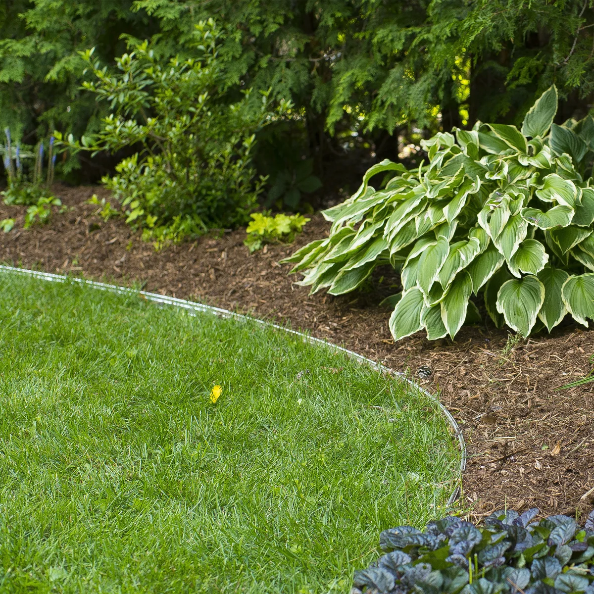 AM Leo Store 34 AM Leo Store -AM Leo Store 153152 894 1