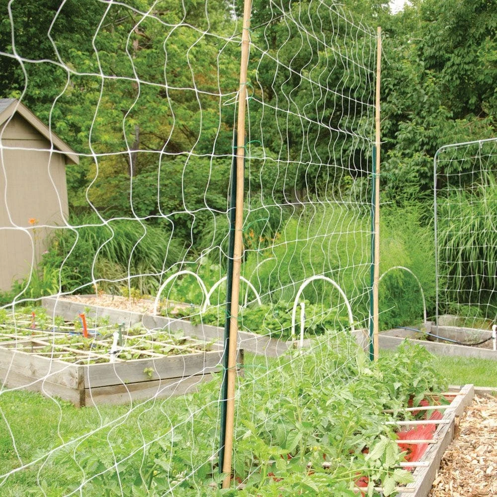 Trellis Netting, 4ft Height X 50ft Length By Hortonova 12 Trellis Netting, 4ft Height X 50ft Length By Hortonova - Image 12