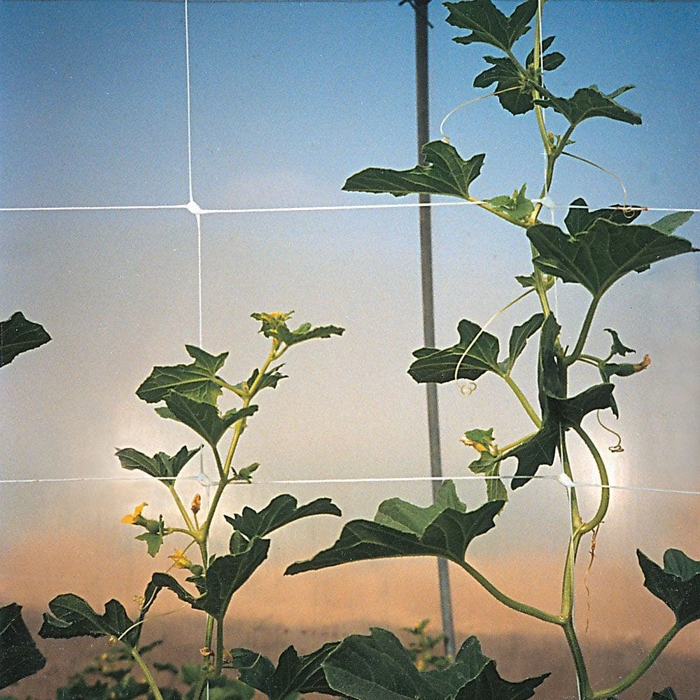 Trellis Netting, 4ft Height X 50ft Length By Hortonova 5 Trellis Netting, 4ft Height X 50ft Length By Hortonova - Image 5