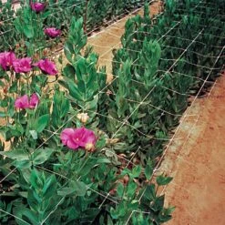 Trellis Netting, 4ft Height X 50ft Length By Hortonova 29 Trellis Netting, 4ft Height X 50ft Length By Hortonova -AM Leo Store htn450 9