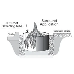 AM Leo Store 30 AM Leo Store -AM Leo Store rb24 1