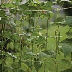Trellis Netting, 6-1/2ft Height X 30ft Length By Hortonova -AM Leo Store tn630 11