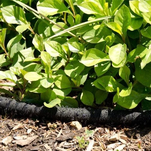 Pro Series 5/8-inch Soaker Hose 7 Pro Series 5/8-inch Soaker Hose - Image 7